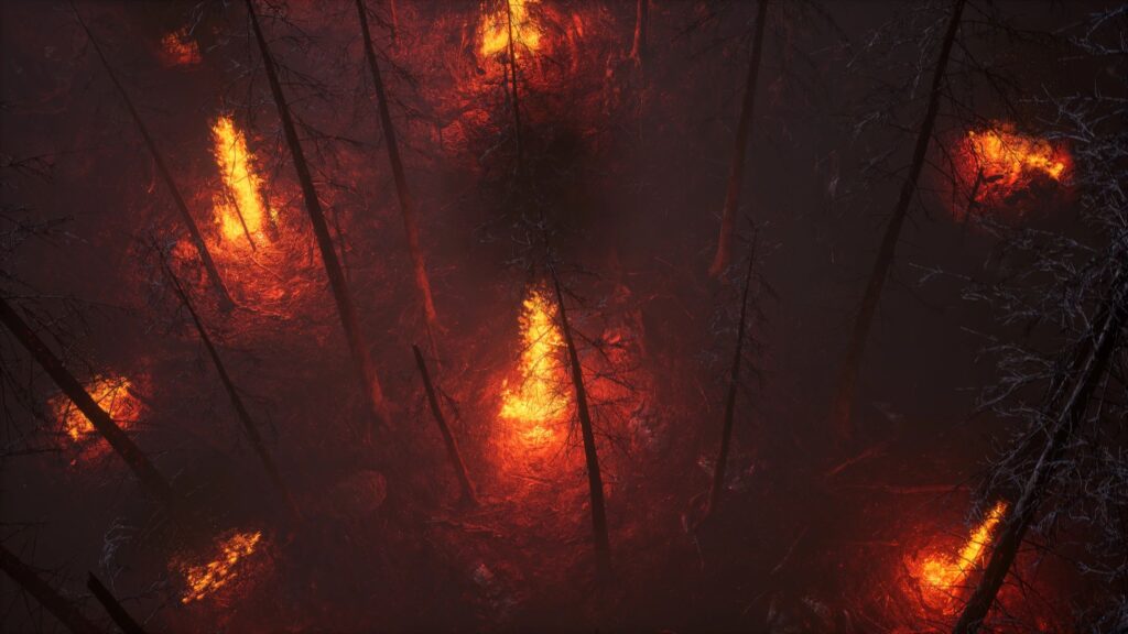 Forest Fire High Angle View